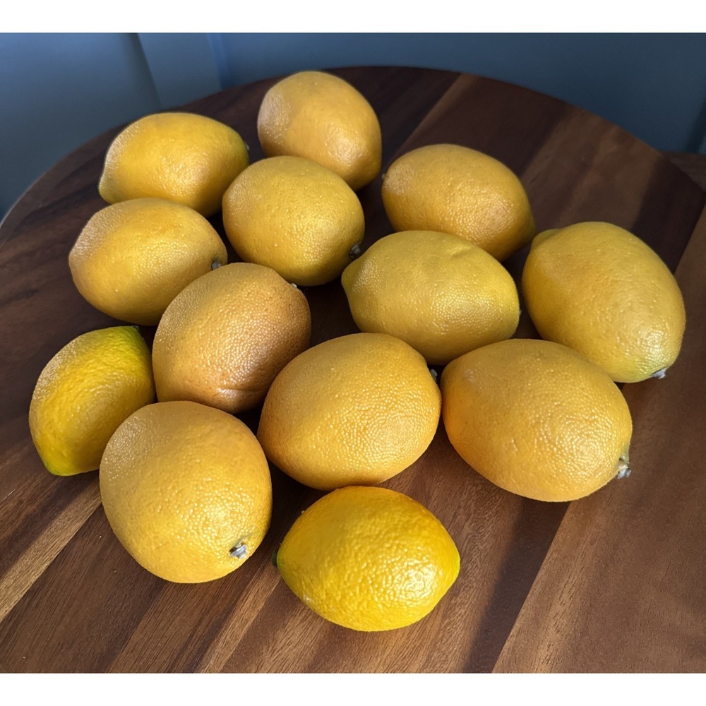 Lot Of 13 Lucky Lemons Artificial Faux Realistic Home Decor Staging Bowl Filler